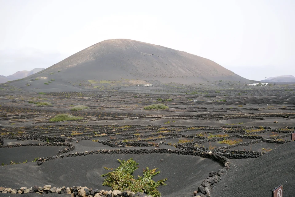 P1000851 960x640
